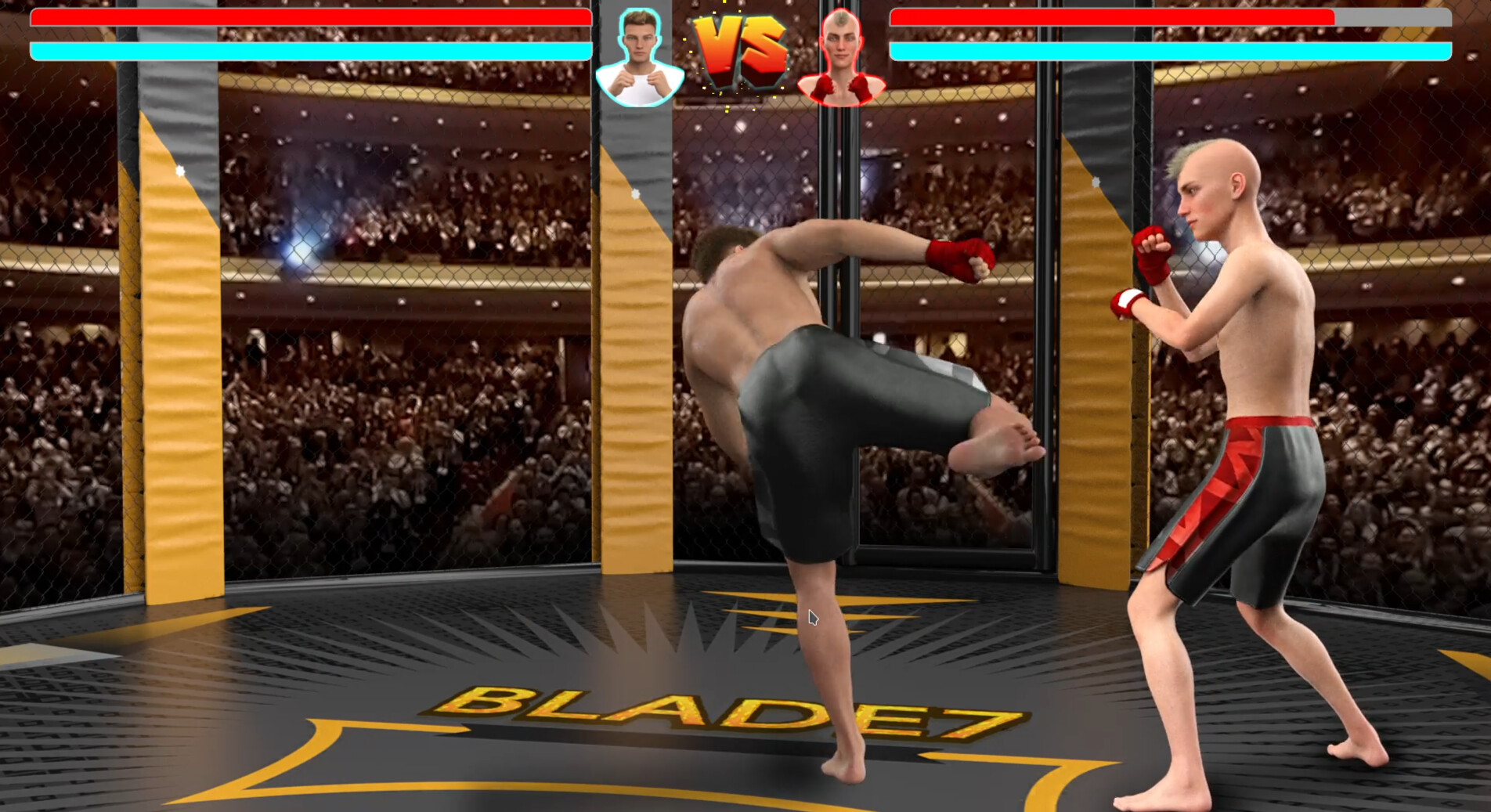 MMA Life Simulator Screenshot