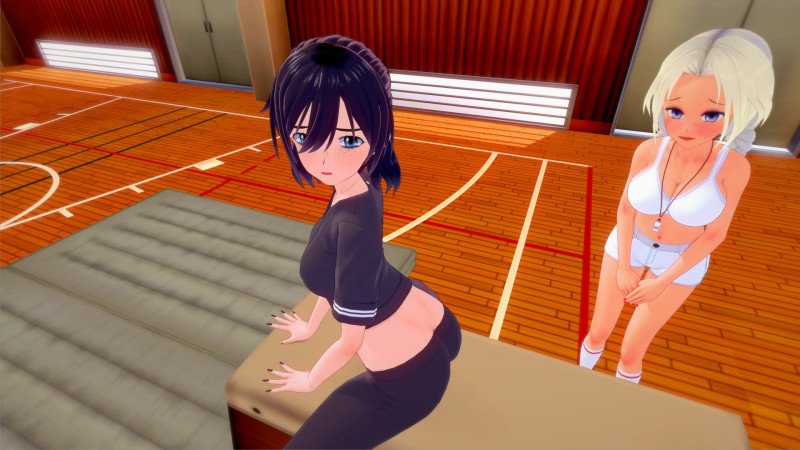 Harem High School Screenshot